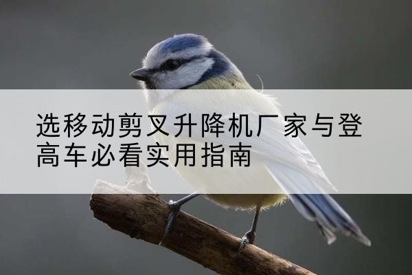 廊坊电动升降机厂家-选移动剪叉升降机厂家与登高车必看实用指南