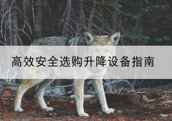 廊坊升降货梯厂家推荐-*安全选购升降设备指南